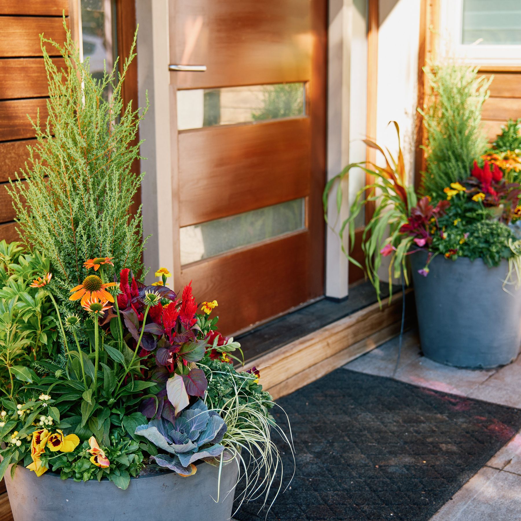 Enliven Planters container arrangement